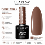Esmalte Claresa Perfect Nude 3